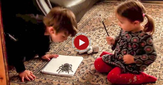 Best Of Stefan Pabst's 3D DRAWINGS