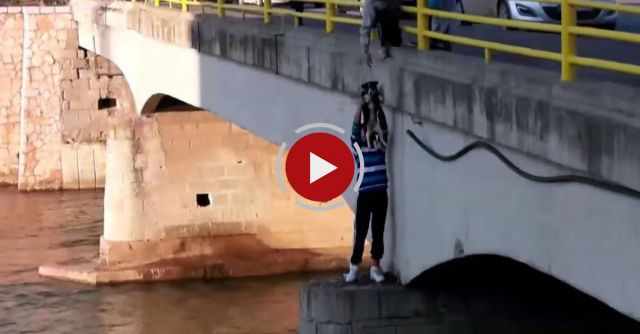 People Rescue A Dog Trapped On An Island In The River