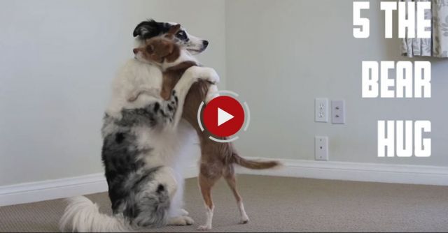 5 Different Hugs For Valentines Day