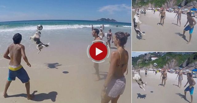 Altinha With Scotch And Friends