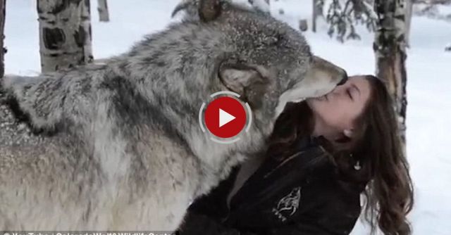 Kekoa Kisses For Danielle