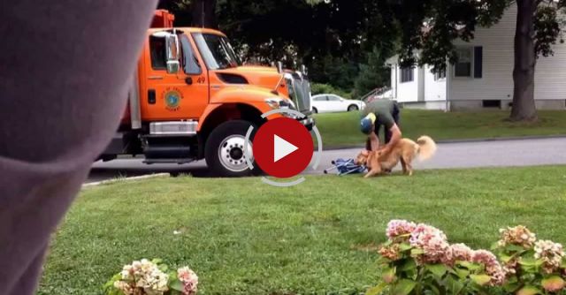Dog Loves The Garbage Man.