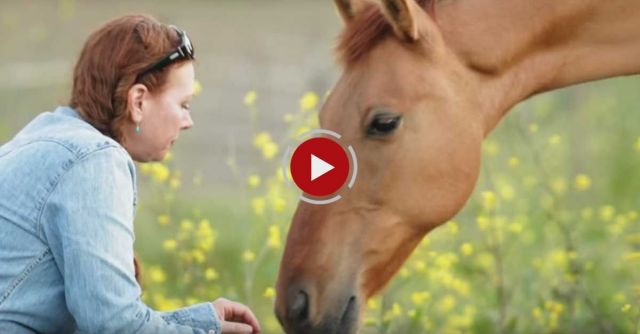 Strong Women, Wild Horses