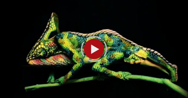 This Is Not A Chameleon!