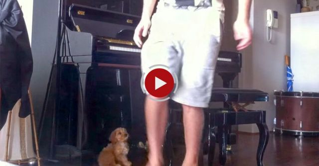 Music Loving Puppy Dog