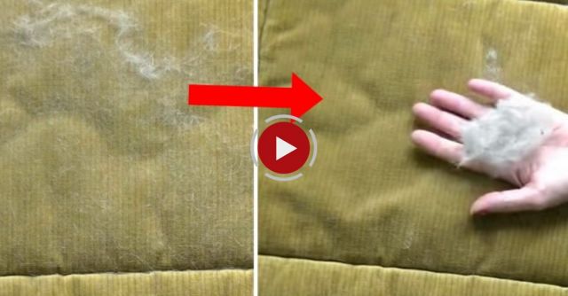 AMAZING! The Absolute Best Way To Remove Pet Hair