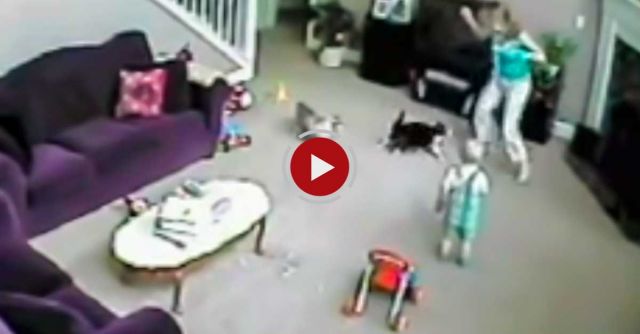 Cat Saves Child From Mom