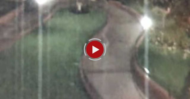 Ghost Hangs Around Disneyland