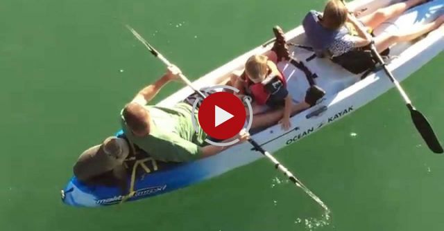 Sea Lion Joins Family On Santa Barbara Kayak