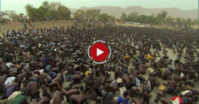 Thousands Of Fishermen Empty Lake In Minutes - Human Planet: Deserts, Preview - BBC One