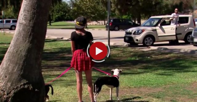 Reuniting A War Veteran With His Beloved Dogs