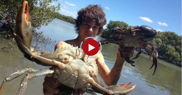 Australian Teens Catch Mudcrabs Barehanded