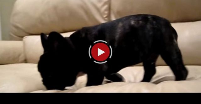 JB Can't Decide Where To Sleep