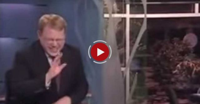 Chris P Bacon   News Anchor Reporter Looses Control 