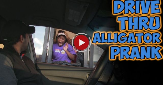 Drive Thru Alligator Prank
