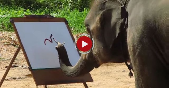 Suda The Painting Elephant