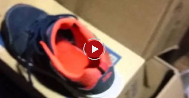 Always Check Your Shoes