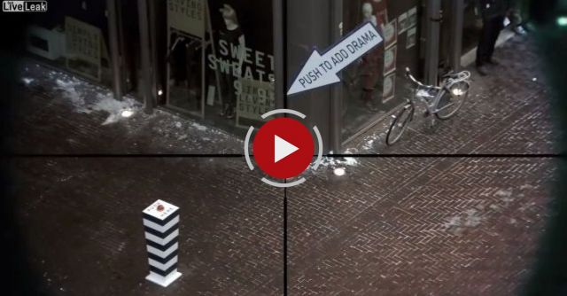 A Dramatic Surprise On An Ice-cold Day