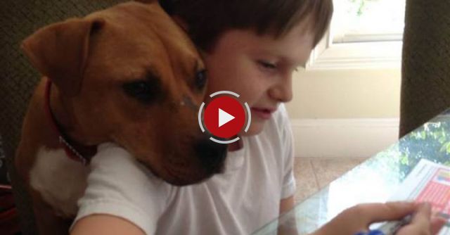 Xena The Warrior Puppy ASPCA Dog Of The Year