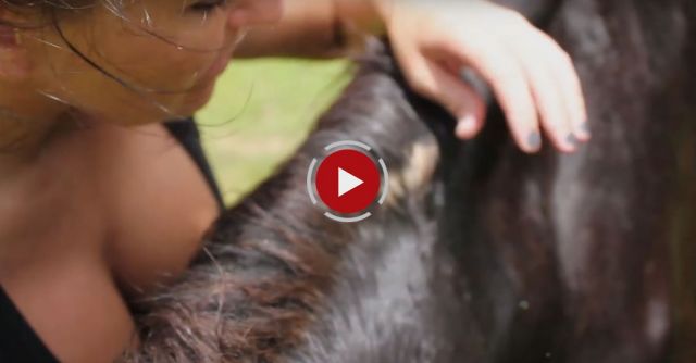 Rescuing A Horse From Certain Death