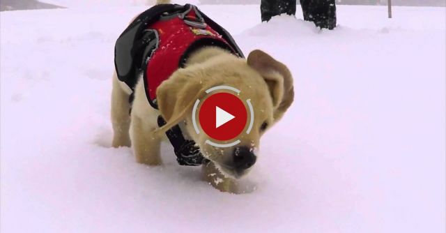 First Day On The Job