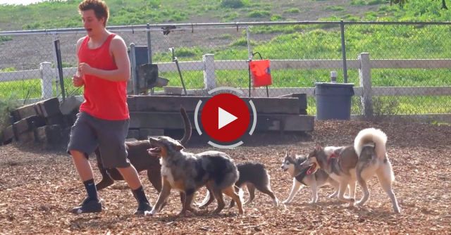 Squeaky Shoes At The Dog Park