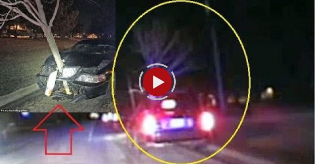 Dashcam Video Shows Woman Driving With Tree Stuck In Her Car