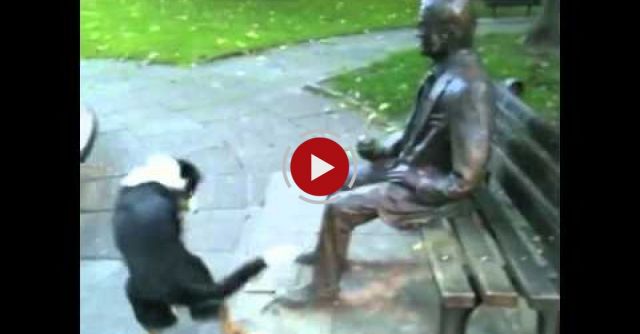 Very Funny Dog! Really Determined Too...