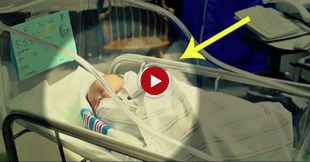 Jacob Chen - An Adoption Story