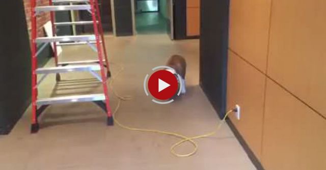 Irrational Fears And Unique Solutions