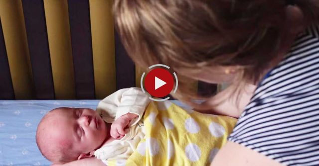 Teddy Bear Meets Best Friend