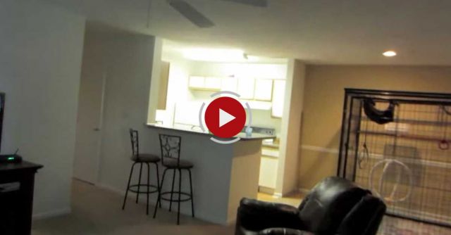 Monkey Freakin HAPPY!