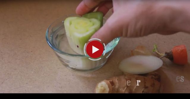 How-to Grow A Vegetable Garden From Kitchen Scraps