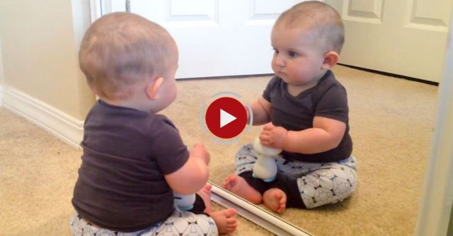 Who's That Baby In The Mirror? Baby Doesn't Recognize Reflection After Haircut!