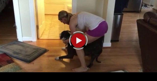 Dog Protests Bath Time In Classic Fashion