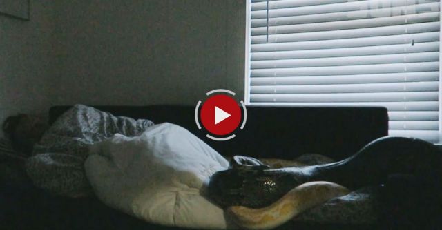 Anaconda Wake Up Prank - The Dudesons