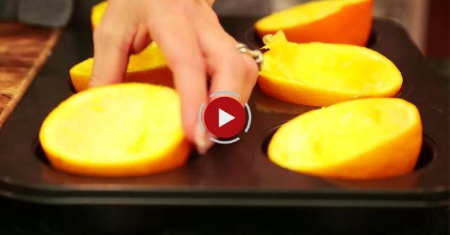 MEG | Orange Jello Slices