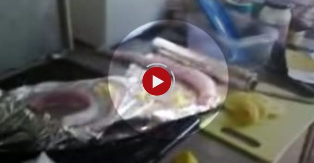  Dead Fish Moves In Lemon Juice. 