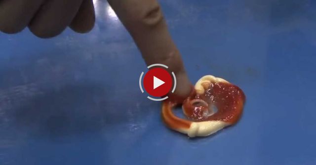 SWITL Picks Up Sauce Without Changing It's Shape #DigInfo