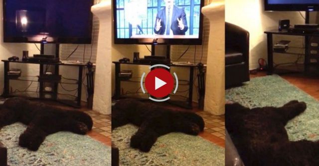 Luke Running To Bed... Every Night