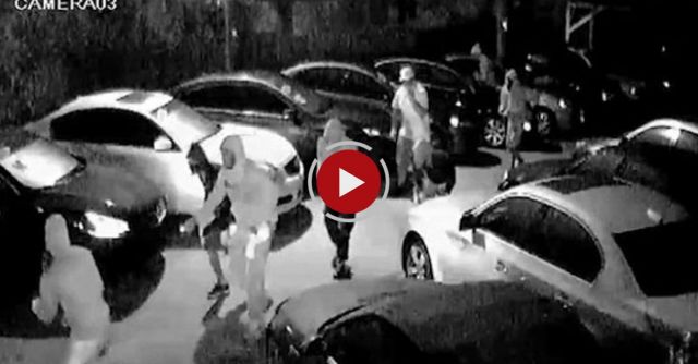 Tampa Police Investigating Group Of Brazen Auto Theft Suspects