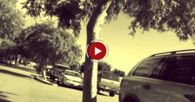 Dying Car Alarm Drops A Beat 