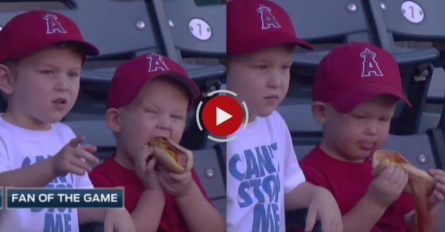Kid Struggles To Eat A Hot Dog At Baseball Game