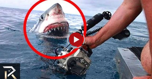 10 Shocking Attacks Caught On Camera