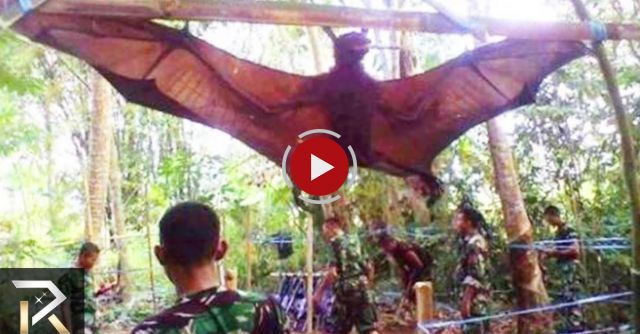 Incredible Photos You Won’t Believe Are Real