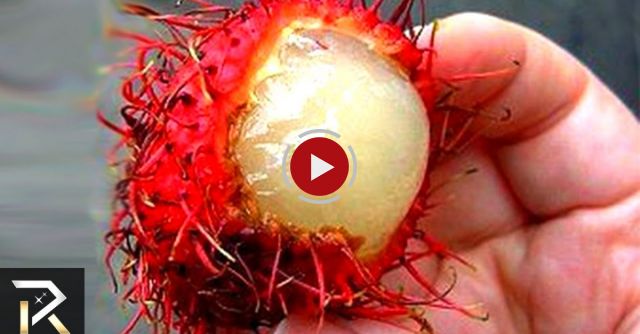 Exotic Foods That Can Actually Kill You