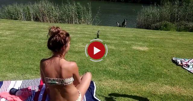 South African Girl Catch A Cobra!