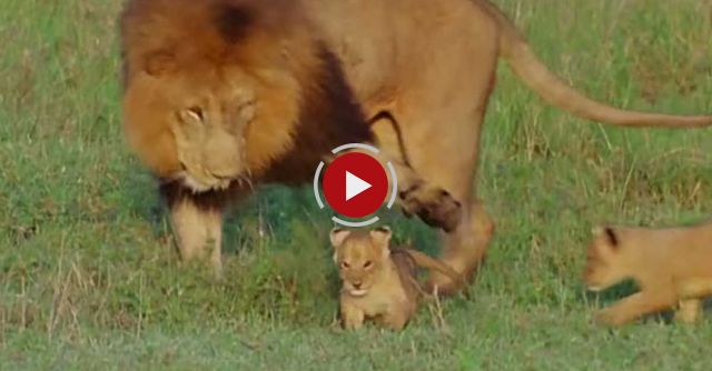 The First Days Of Life