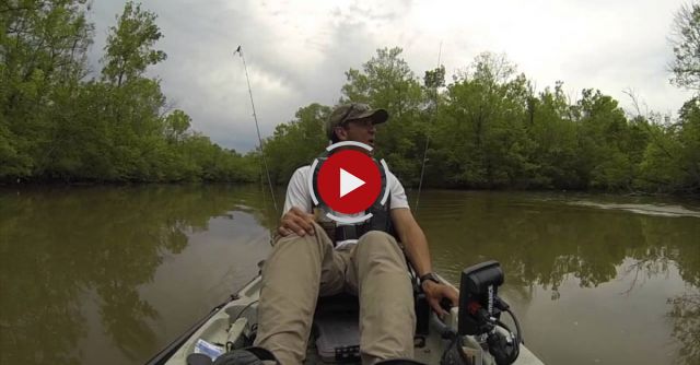 That Is NOT A Catfish On The End Of The Line