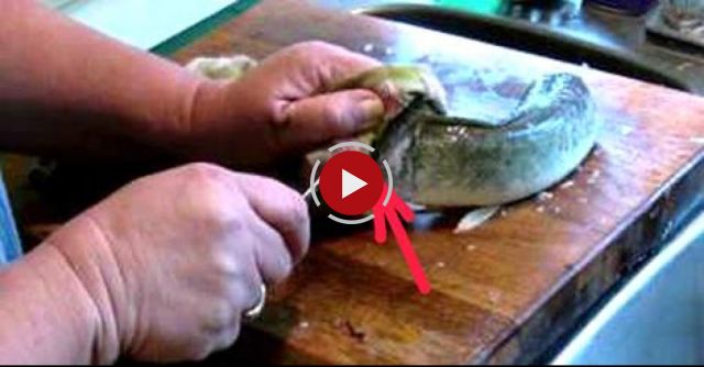 Dead Fish Alive When Headless